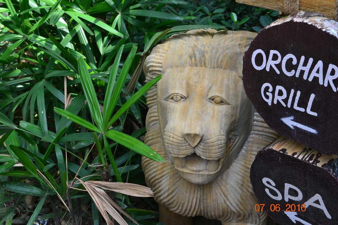 Corbett Wild Iris Spa And Resort Ramnagar  Luaran gambar